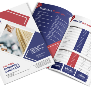 PRE-NDA BUSINESS SUMMARY (PNBS)